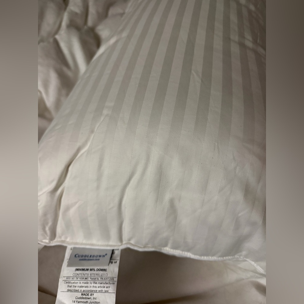 CUDDLEDOWN 800 Fill Power Goose Down Damask Stripe Pillow Medium Densi - Picture 9 of 9